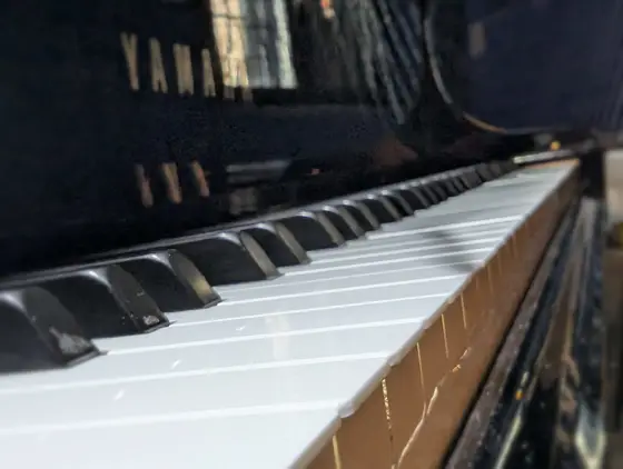 Dettaglio dei tasti del pianoforte